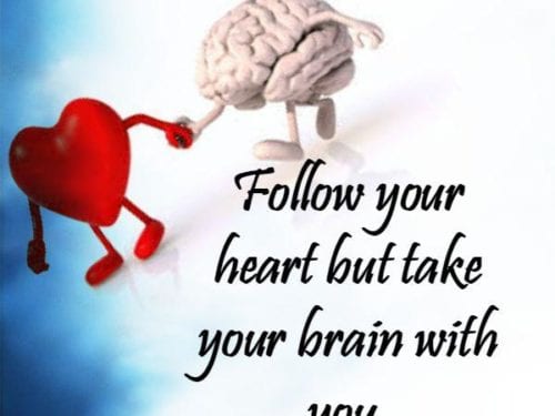 Follow-your-heart-but-take-your-brain-with-you