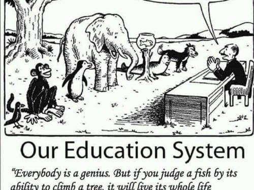 everybody is a genius
