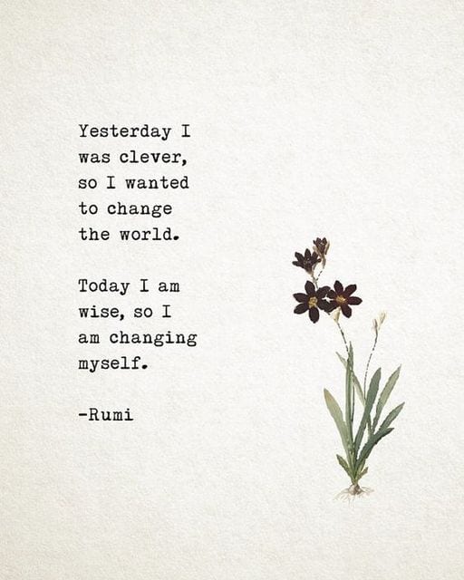 rumi-clever
