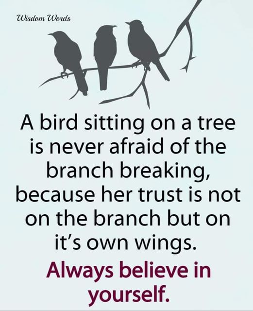 a-bird-on-a-tree-branch