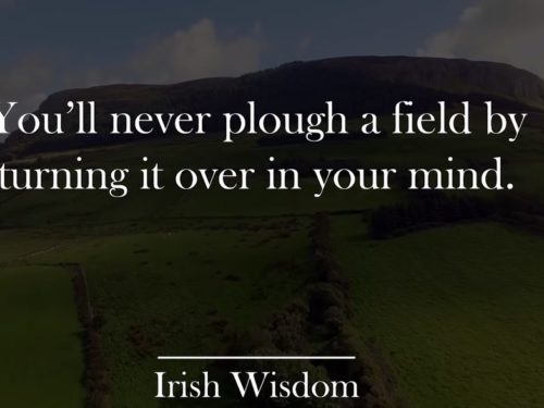 never plough a field