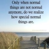 normal-things-not-normal