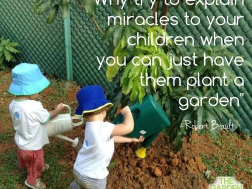garden miracles