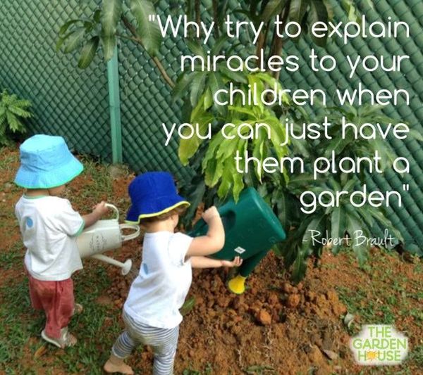 garden-miracles