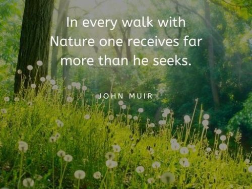 walk with nature