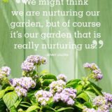 nurture-your-garden