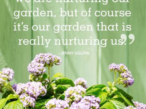 nurture your garden