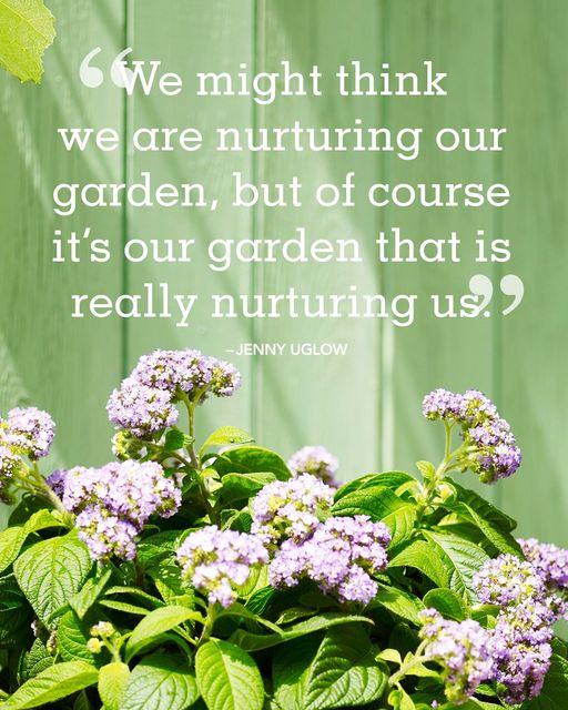 nurture-your-garden