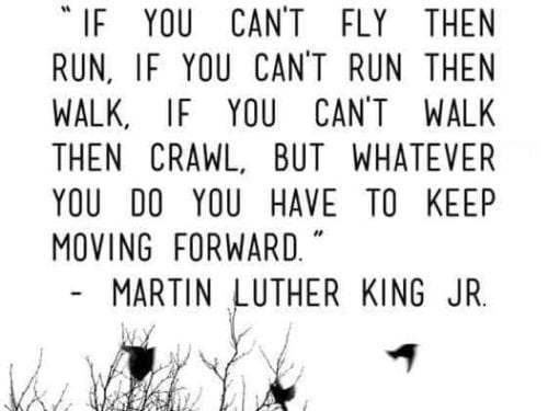 if you cant fly