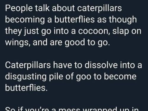 people talk about caterpillars