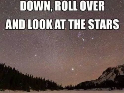 look at the stars
