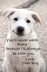 Your Dog quote