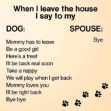 to-dog-when-leaving-house
